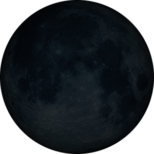 New moon moon phase